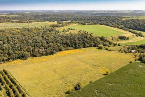 Tbd-c County 8 Spring Grove MN 55954