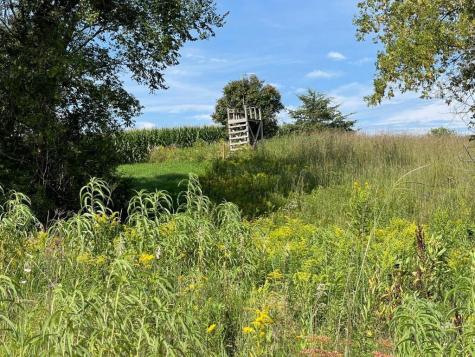 Tbd-c County 8 Spring Grove MN 55954