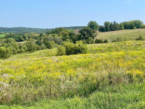 Tbd-c County 8 Spring Grove MN 55954