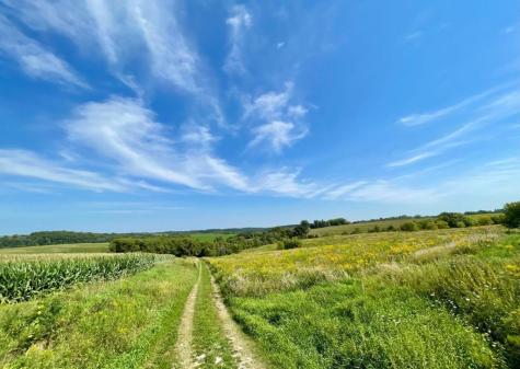 Tbd-c County 8 Spring Grove MN 55954