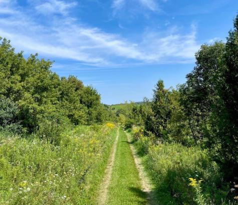 Tbd-c County 8 Spring Grove MN 55954