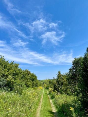 Tbd-c County 8 Spring Grove MN 55954