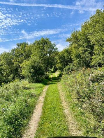 Tbd-c County 8 Spring Grove MN 55954