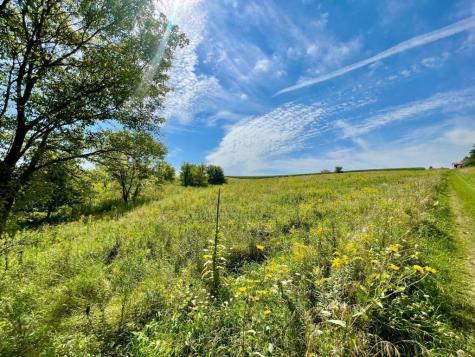 Tbd-c County 8 Spring Grove MN 55954