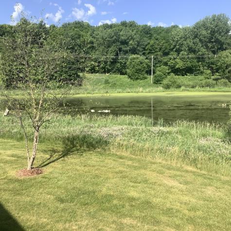 623 Amber Lane Buffalo MN 55313