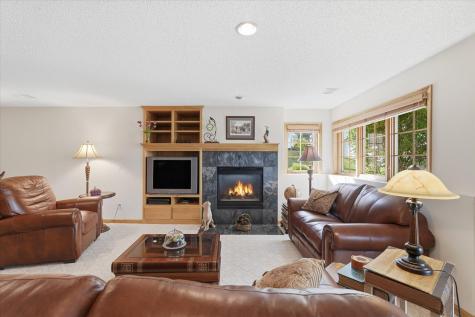 16737 49th Place N Plymouth MN 55446