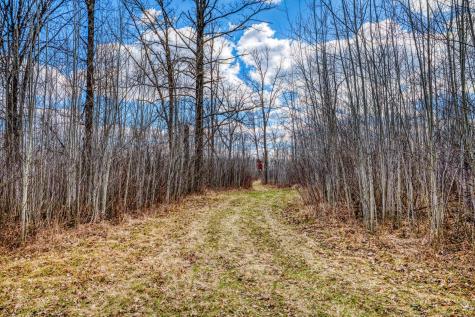 11005 320th Street Park Rapids MN 56470