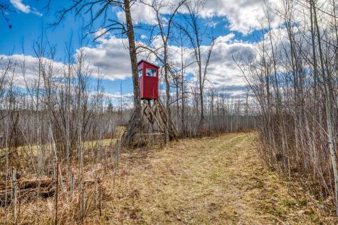 11005 320th Street Park Rapids MN 56470