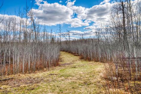 11005 320th Street Park Rapids MN 56470