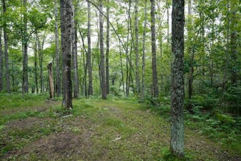 W8432 Webb Creek Drive Trego WI 54888