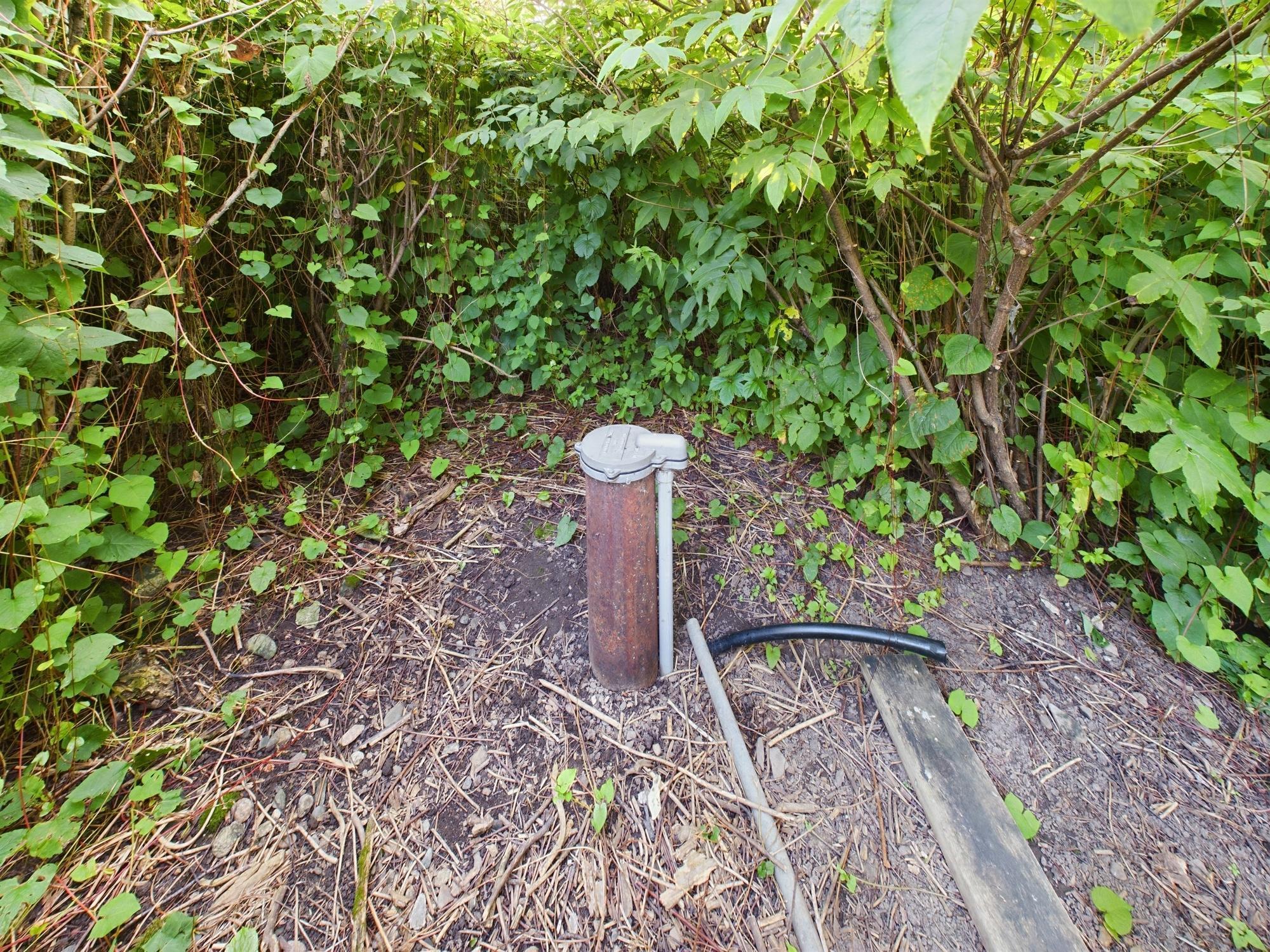 1 Birch Island Angle Twp MN 56711