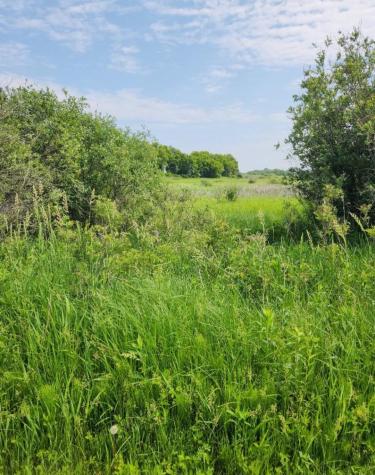 17168 263rd Avenue Paynesville MN 56362