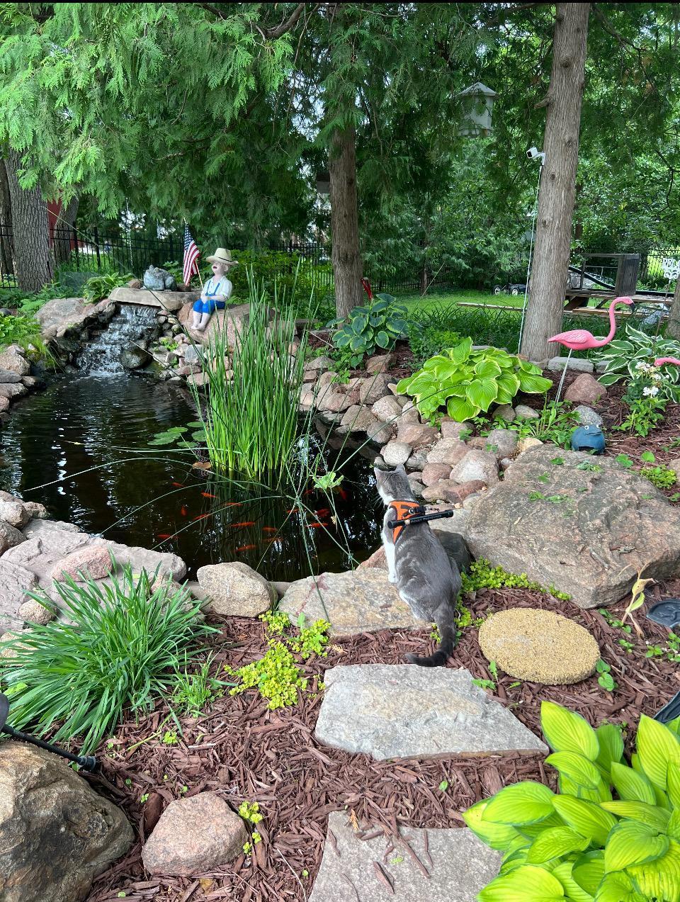 405 Vine Avenue Albert Lea MN 56007