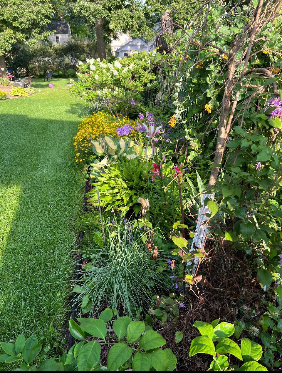 405 Vine Avenue Albert Lea MN 56007