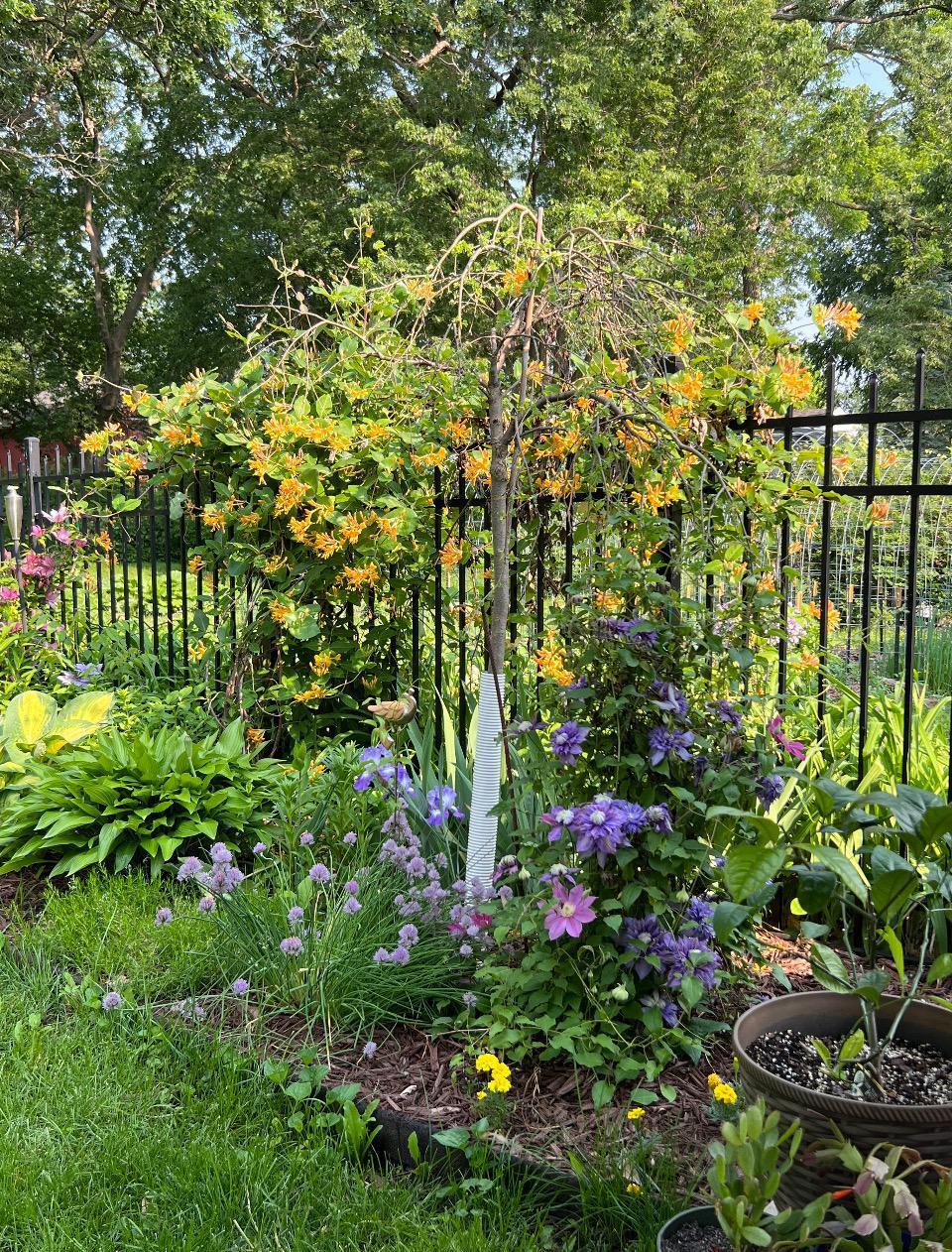 405 Vine Avenue Albert Lea MN 56007