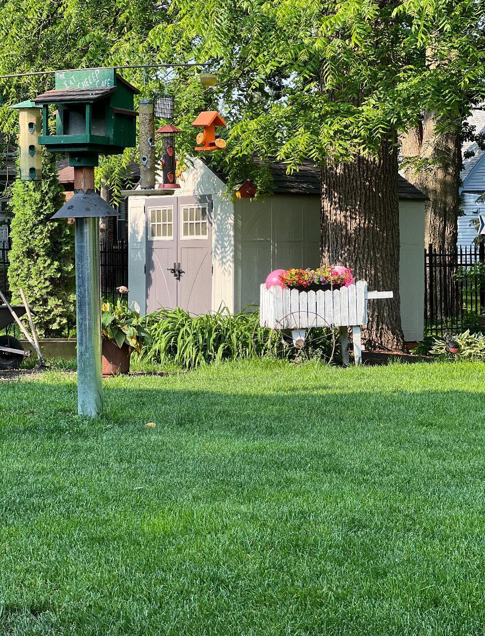 405 Vine Avenue Albert Lea MN 56007