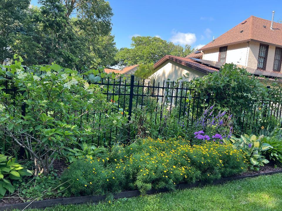 405 Vine Avenue Albert Lea MN 56007