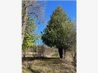 56161 Whitefish Trail Squaw Lake MN 56659