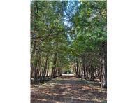 56161 Whitefish Trail Squaw Lake MN 56659