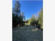 56161 Whitefish Trail Squaw Lake MN 56659