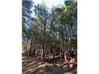 56161 Whitefish Trail Squaw Lake MN 56659