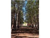 56161 Whitefish Trail Squaw Lake MN 56659