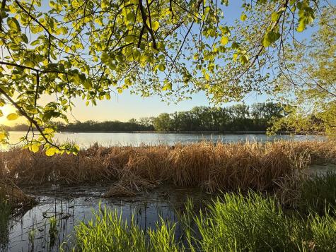 13180 Willandale Road Rogers MN 55374