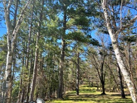 27965 County 7 Park Rapids MN 56470