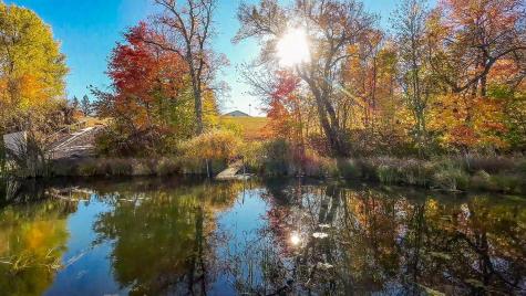 31044 Acorn Lake Road Frazee MN 56544