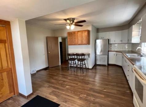 317 Minnesota Avenue E Sebeka MN 56477