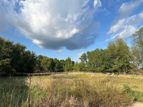 23304 State Highway 29 Henning MN 56551