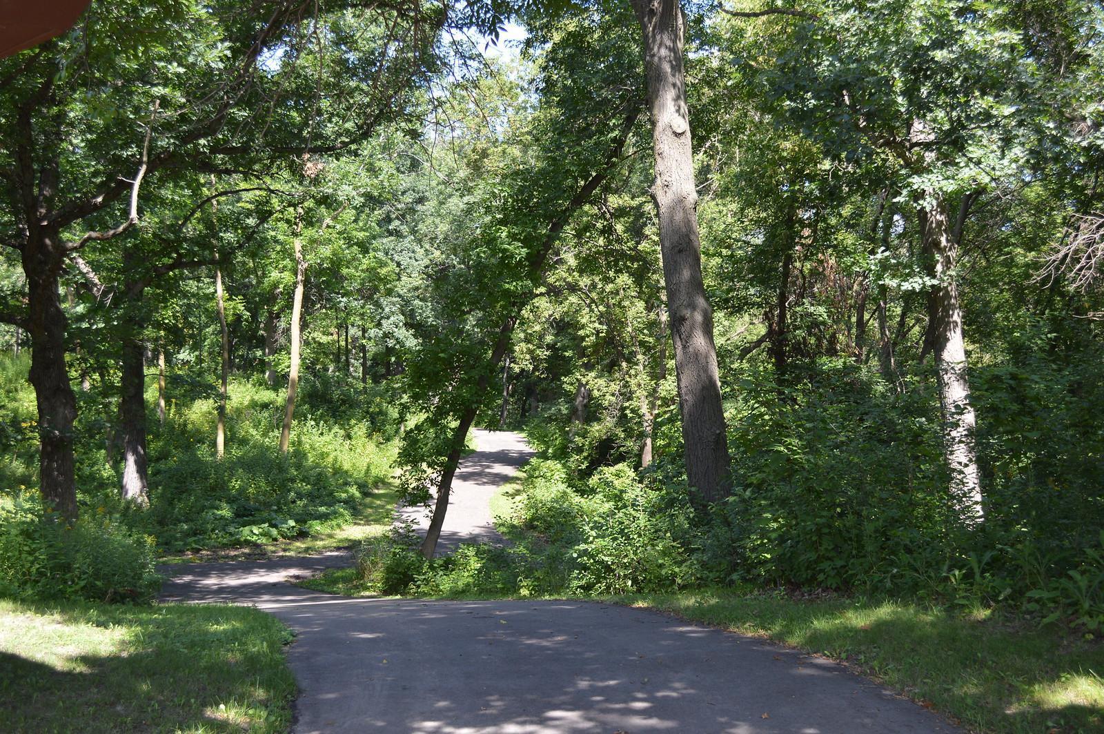 3517 Siems Court Arden Hills MN 55112