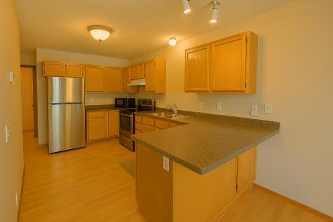 8588 Brinkley Lane Inver Grove Heights MN 55076