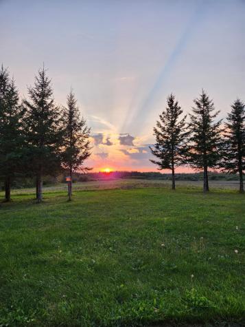 9453 Alango Road Angora MN 55703