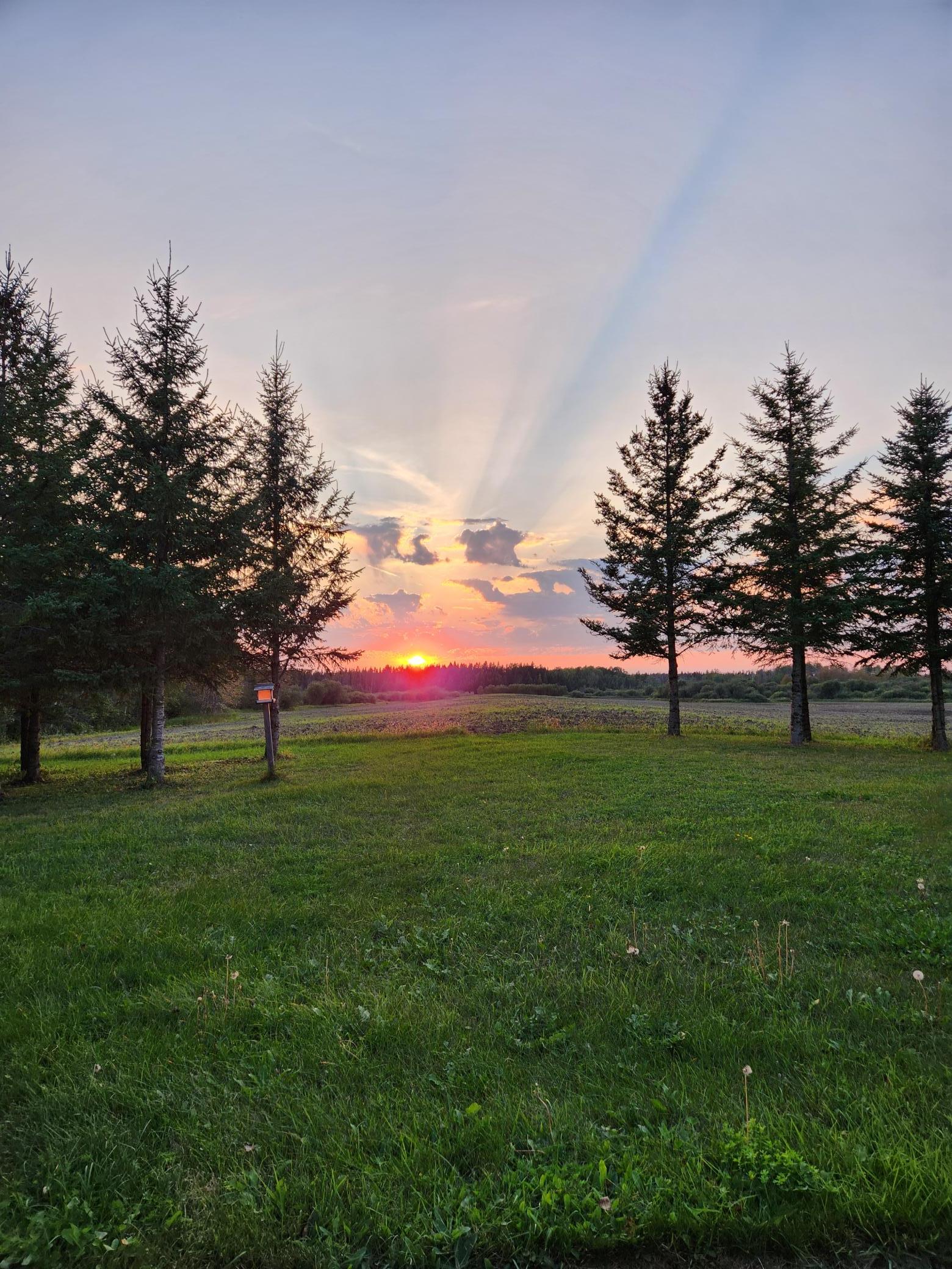 9453 Alango Road Angora MN 55703