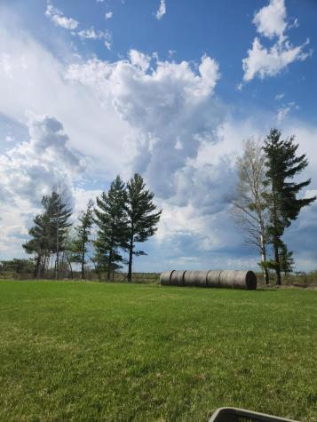 9453 Alango Road Angora MN 55703