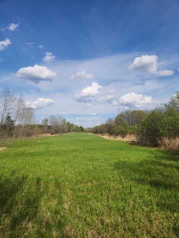 9453 Alango Road Angora MN 55703