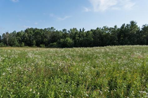 18467 Vineland Road Onamia MN 56359