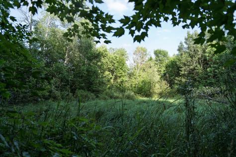 18467 Vineland Road Onamia MN 56359
