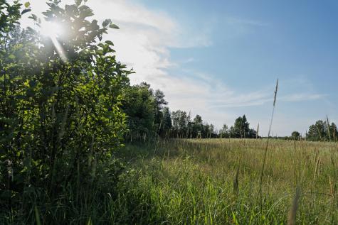 18467 Vineland Road Onamia MN 56359