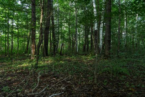 18467 Vineland Road Onamia MN 56359
