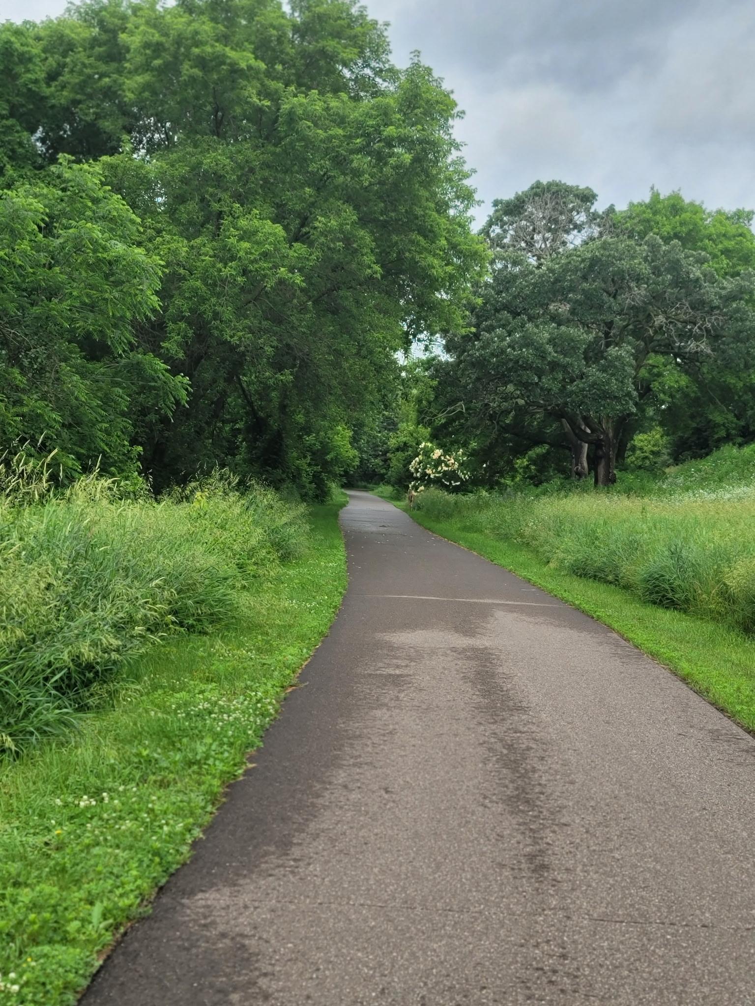 1568 140th Lane NW Andover MN 55304