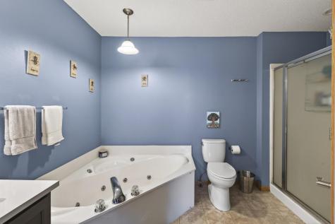 8606 Quarry Ridge Lane Woodbury MN 55125