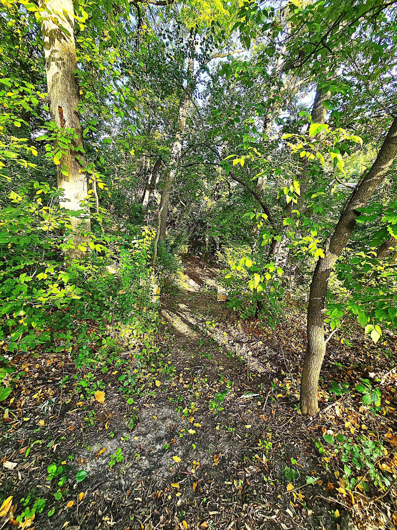 13101 Heritage Way Apple Valley MN 55124