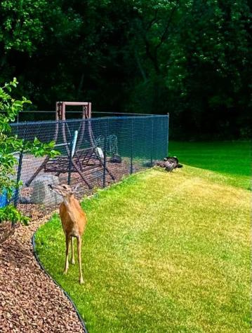5737 N Highlands Court Lake Elmo MN 55042