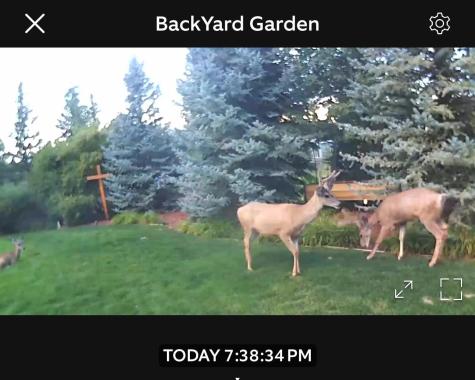 5737 N Highlands Court Lake Elmo MN 55042