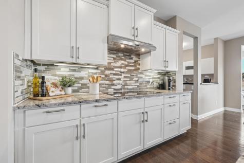 1620 Bluewater Lane Woodbury MN 55129