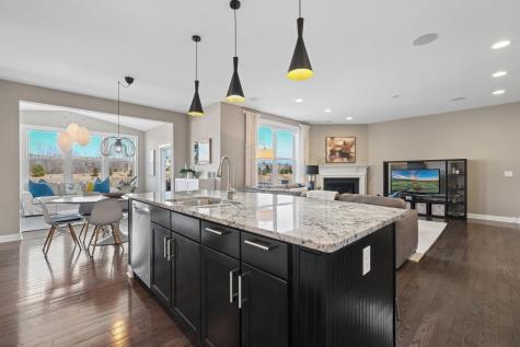 1620 Bluewater Lane Woodbury MN 55129