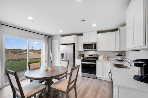 13728 Kaylemore Trail Rosemount MN 55068