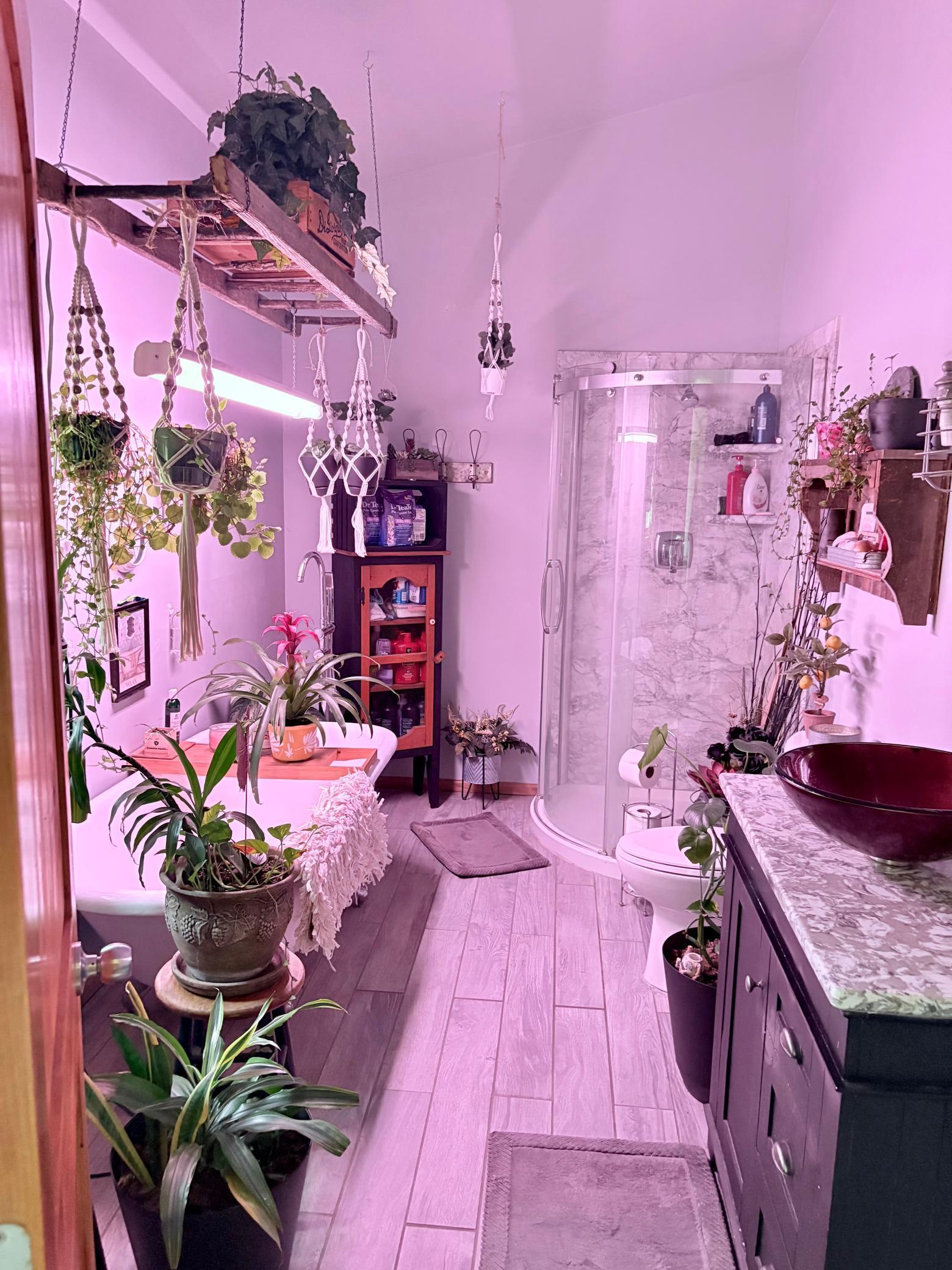 2594 County Road 8 Barnum Twp MN 55707